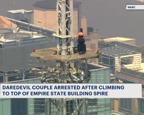 Daredevil proposal